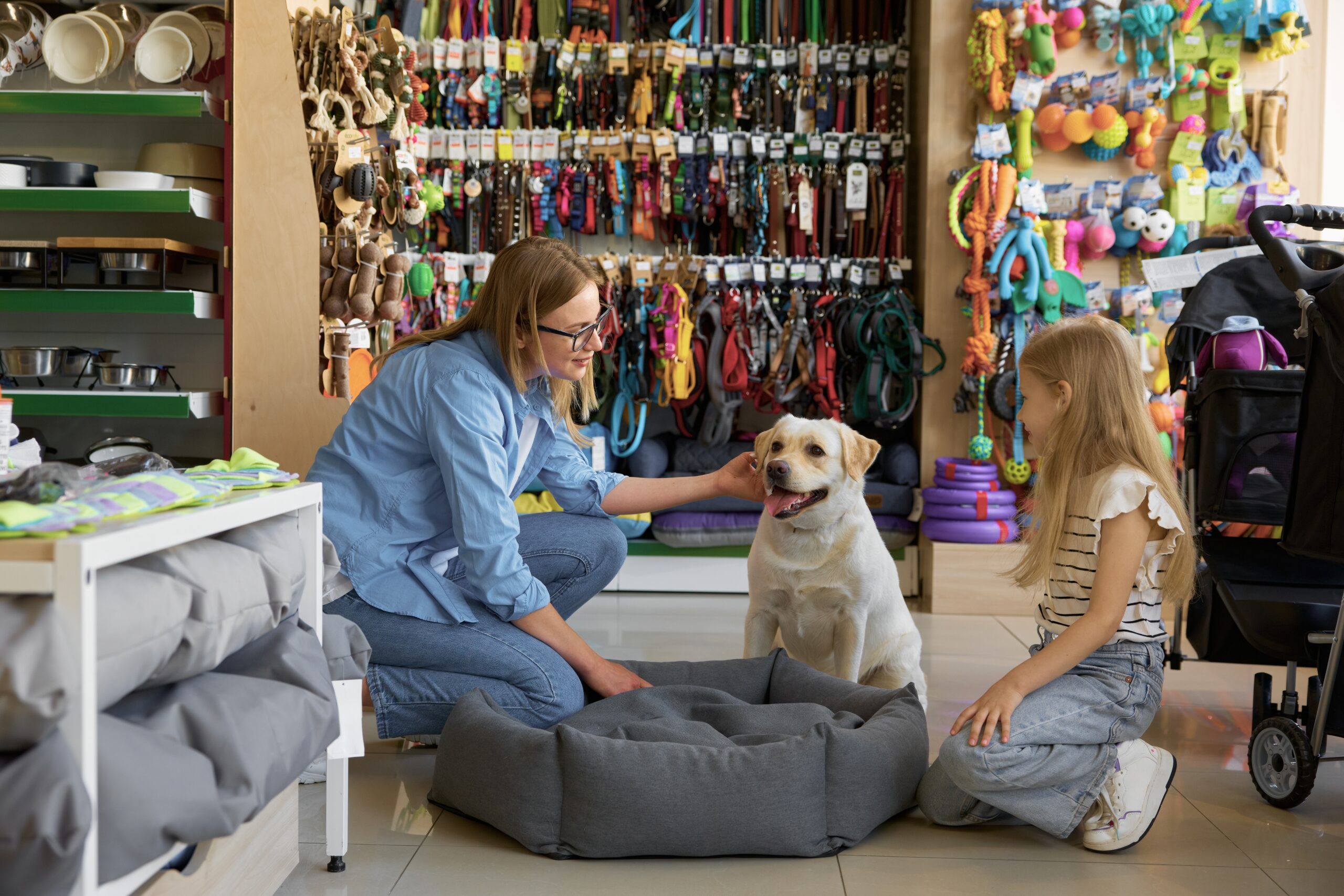 Ondernemingsplan voor het starten van een dierenwinkel